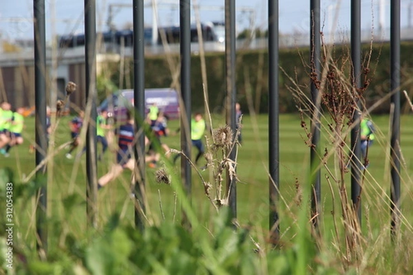 Obraz Rugby Players Practicing