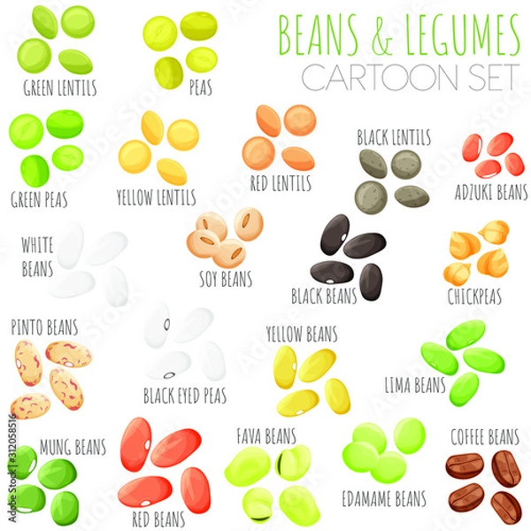 Fototapeta Beans and legumes vector set, cartoon style isolated illustrations.