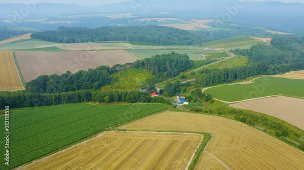 Fototapeta 北海道　美瑛　空撮風景