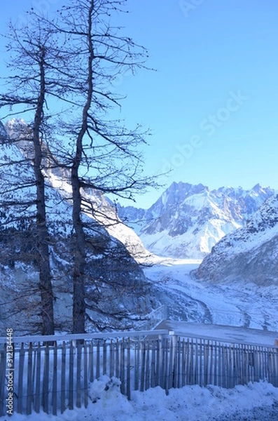 Fototapeta charmonix snow mountains tree fence road beautiful