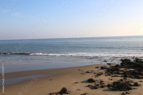 Obraz Santa Barbara Seagulls 