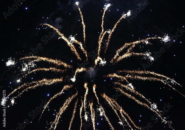 Obraz Fireworks over Los Angeles 