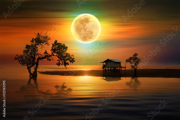 Obraz Silent night on the beach