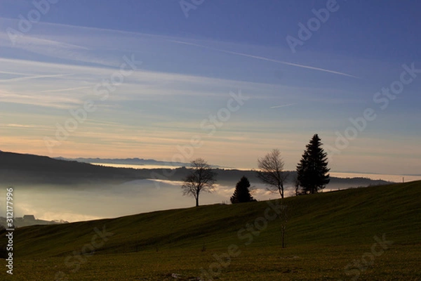 Fototapeta log, sky and trees