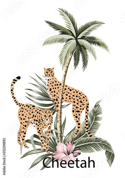 Fototapeta Cheetah, tropical palm tree, hibiscus and palm leaves illustration. Jungle composition.
