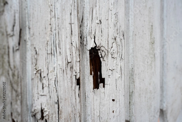Obraz Old rugged worn wood texture