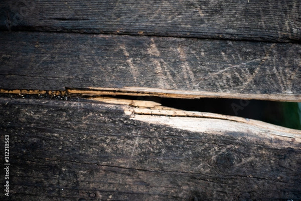 Obraz Old rugged worn wood texture