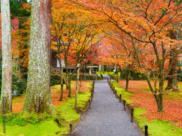 Obraz 京都　三千院