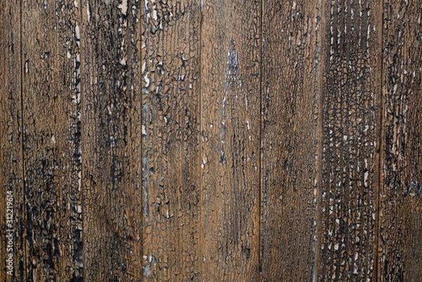 Obraz Old rugged worn wood texture