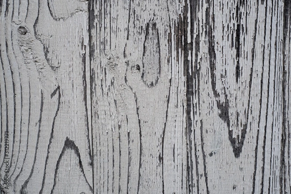 Obraz Old rugged worn wood texture