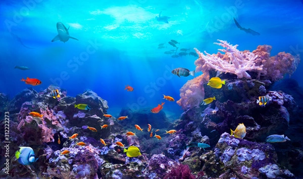 Obraz Spokojne ptaki