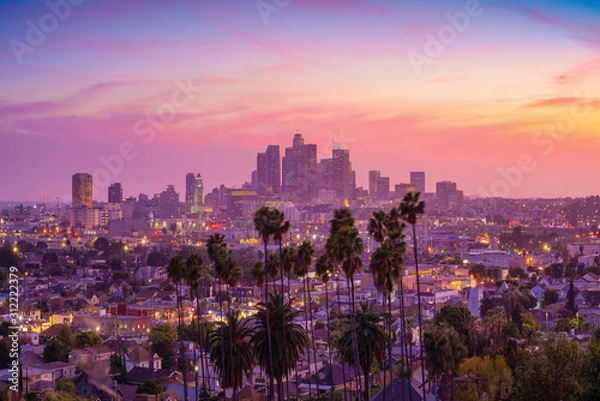 Fototapeta Amazing sunset view with palm tree and downtown Los Angeles. California, USA