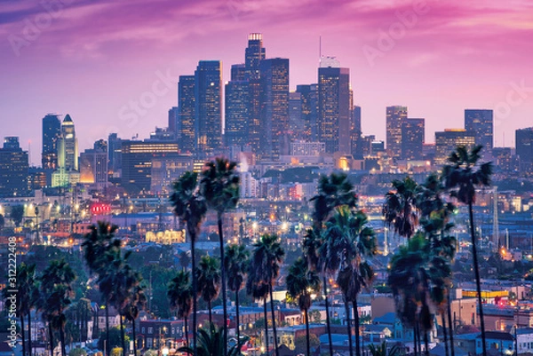 Fototapeta Niesamowity widok zachodu słońca z palmą i centrum Los Angeles. Kalifornia, USA
