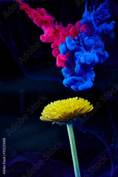 Obraz Paint and ink Drops