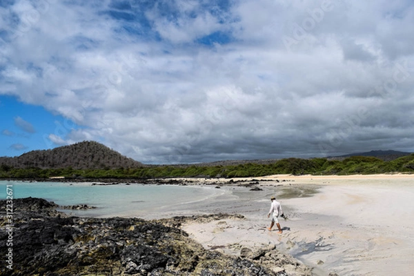 Obraz Walking on a beach