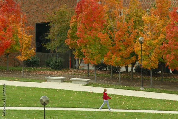 Obraz a walk across campus