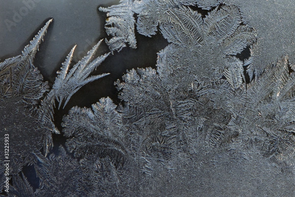 Obraz Frosty pattern