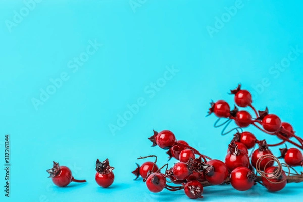 Fototapeta Decorative branches on light blue background, space for text. Winter season