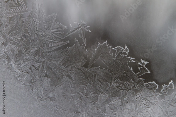 Obraz Frosty pattern