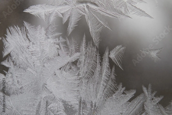 Obraz Frosty pattern