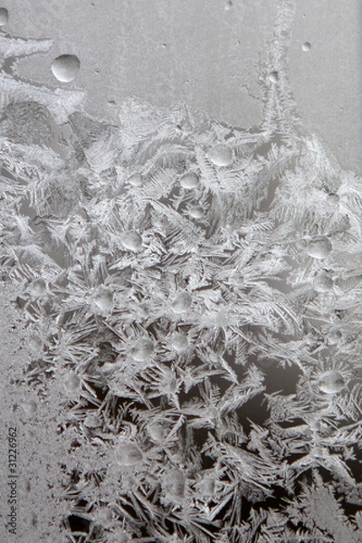 Obraz Frosty pattern