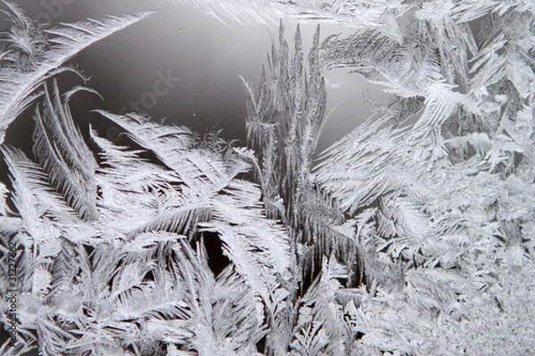 Obraz Frosty pattern