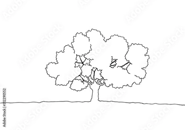 Fototapeta 木の手描き線画