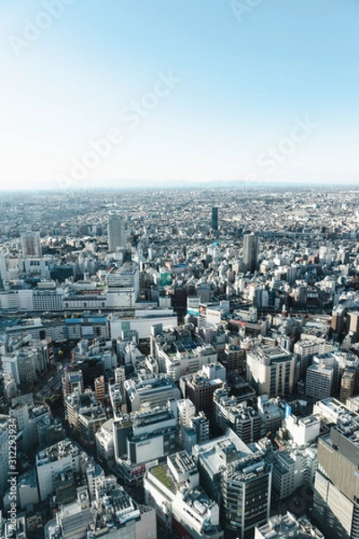 Fototapeta 東京都豊島区池袋から見た東京の景色