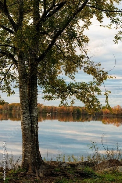 Obraz lake landscape