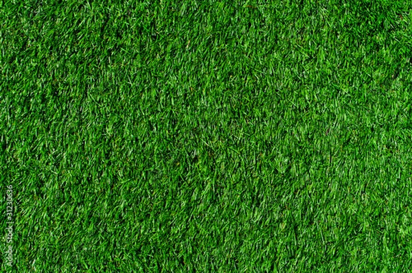 Fototapeta Green Grass