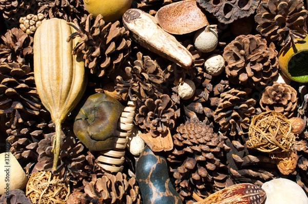 Fototapeta Dried Decor