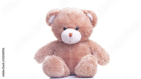 Obraz teddy bear isolated on white background