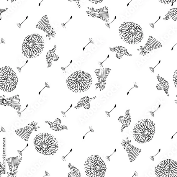 Fototapeta Dandelion hand drawn pattern.Taraxacum officinale