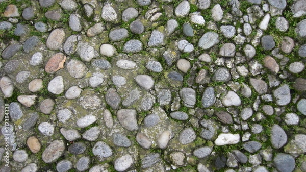 Fototapeta small-stones sidewalk slightly covered with moss