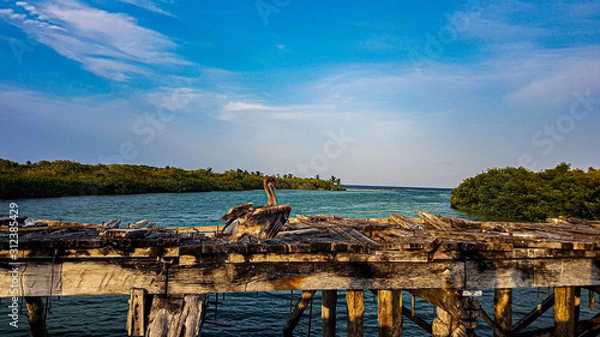 Fototapeta Pelican on a wooden bridge
