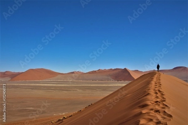 Obraz Man walking on one of the highest dunes in the world. Dune 45 also known as big daddy in Namib Naufkluft Nationalpark, Sossusvlei, Namibia southern Africa