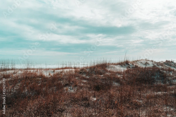 Obraz Beach Dunes in Winter