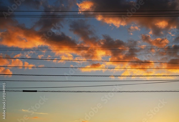 Obraz 夕暮れ　電線　素材