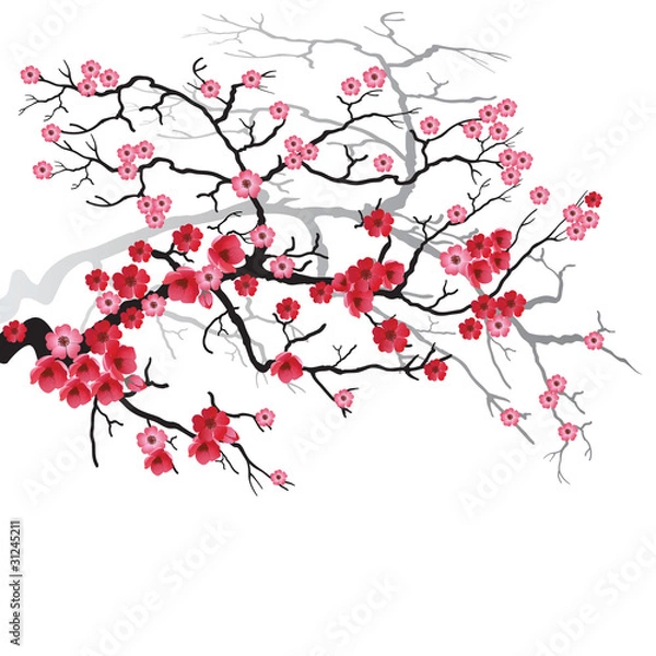 Obraz Sakura Branch