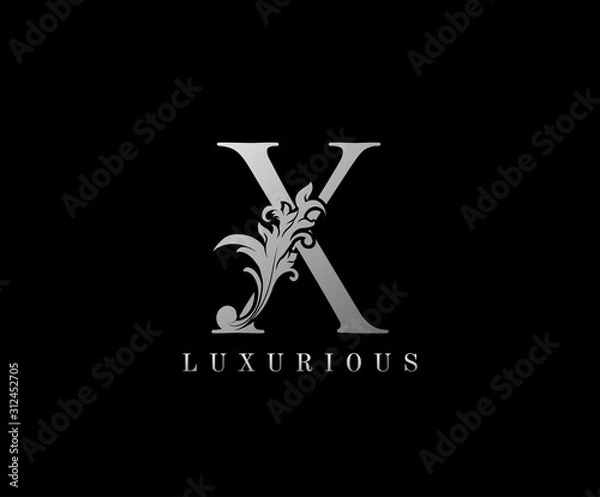 Obraz Silver X Luxury Logo Icon, Elegant X Letter Logo Design.