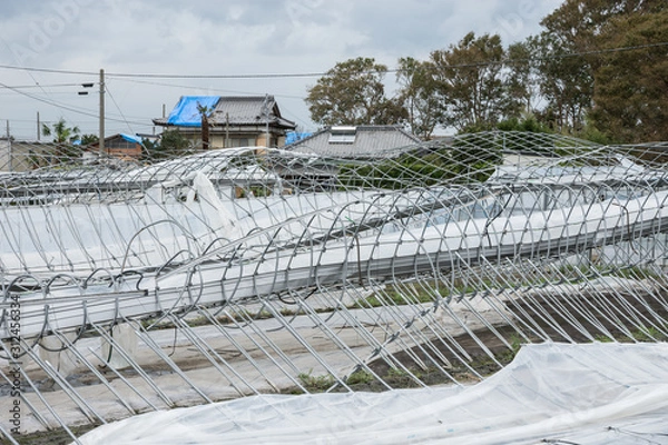 Obraz 台風被害、ビニールハウス倒壊