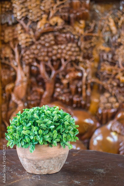 Fototapeta the small green tree in the clay pot with the blur tree carving background