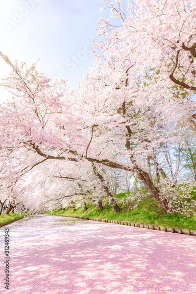 Obraz Nature, Tree, Landscape