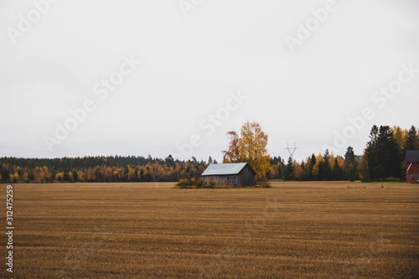 Obraz Casa en el campo