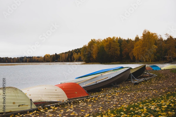 Obraz Barca en el lago