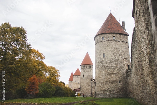 Obraz Muralla Tallin