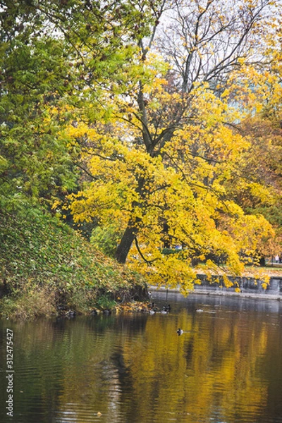 Fototapeta Paisaje otoño