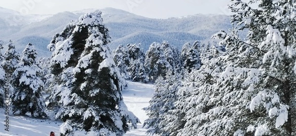 Obraz winter in mountains