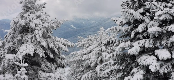 Obraz mountains in winter