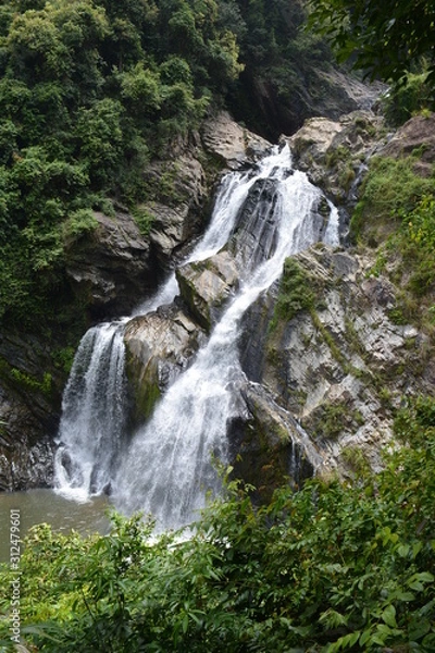 Obraz waterfall in forest